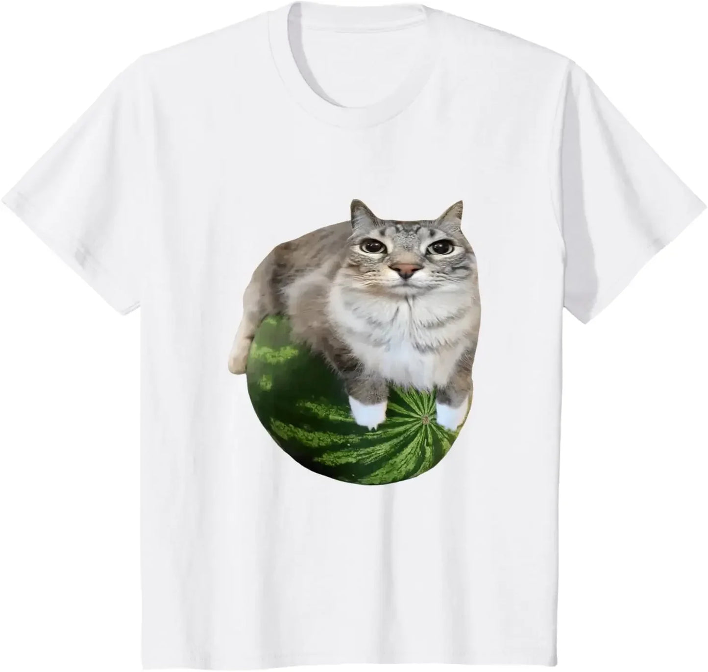 Watermelon Cat Silly Cat Meme T-Shirt