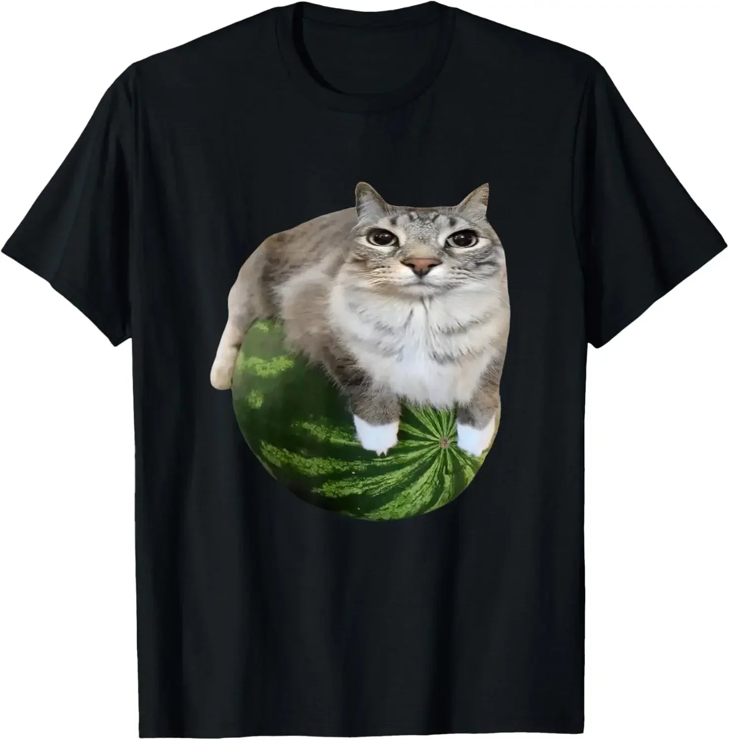 Watermelon Cat Silly Cat Meme T-Shirt